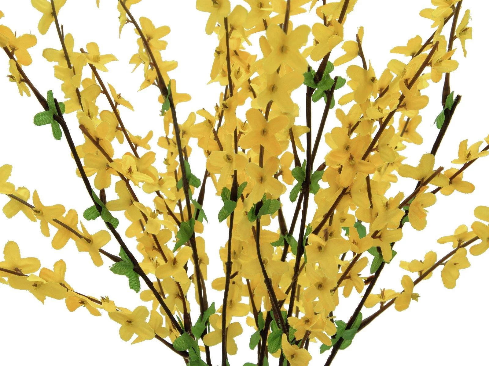 EUROPALMS mākslīgais forsītijas krūms, 60cm 82505629