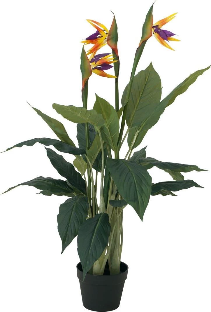 EUROPALMS Strelitzia mākslīgais augs, 90 cm