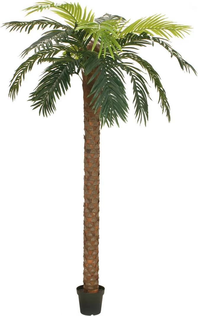 EUROPALMS Phoenix Palm Deluxe mākslīgais augs
