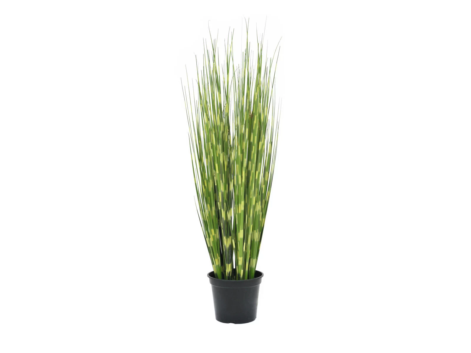 EUROPALMS Zebra Grass, mākslīgā zāle, 90cm