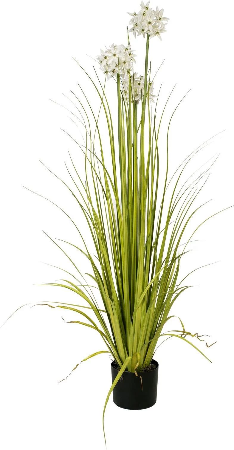EUROPALMS Allium Grass mākslīgais augs, balts
