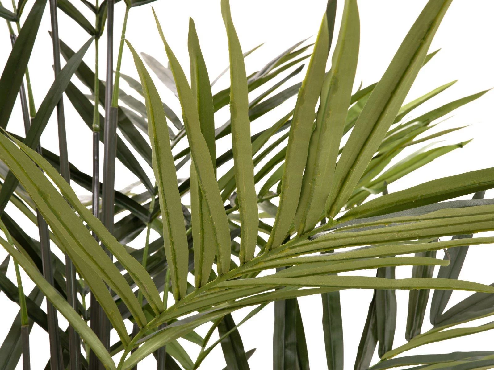 EUROPALMS Kentia palma mākslīgais augs 300cm
