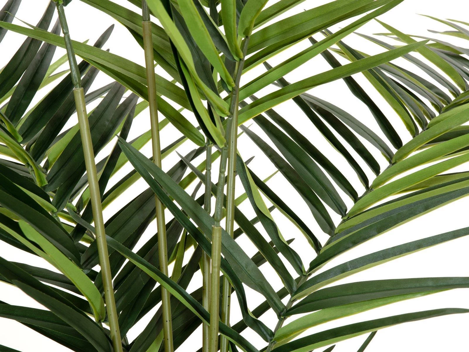 EUROPALMS Kentia palma mākslīgais augs 240cm