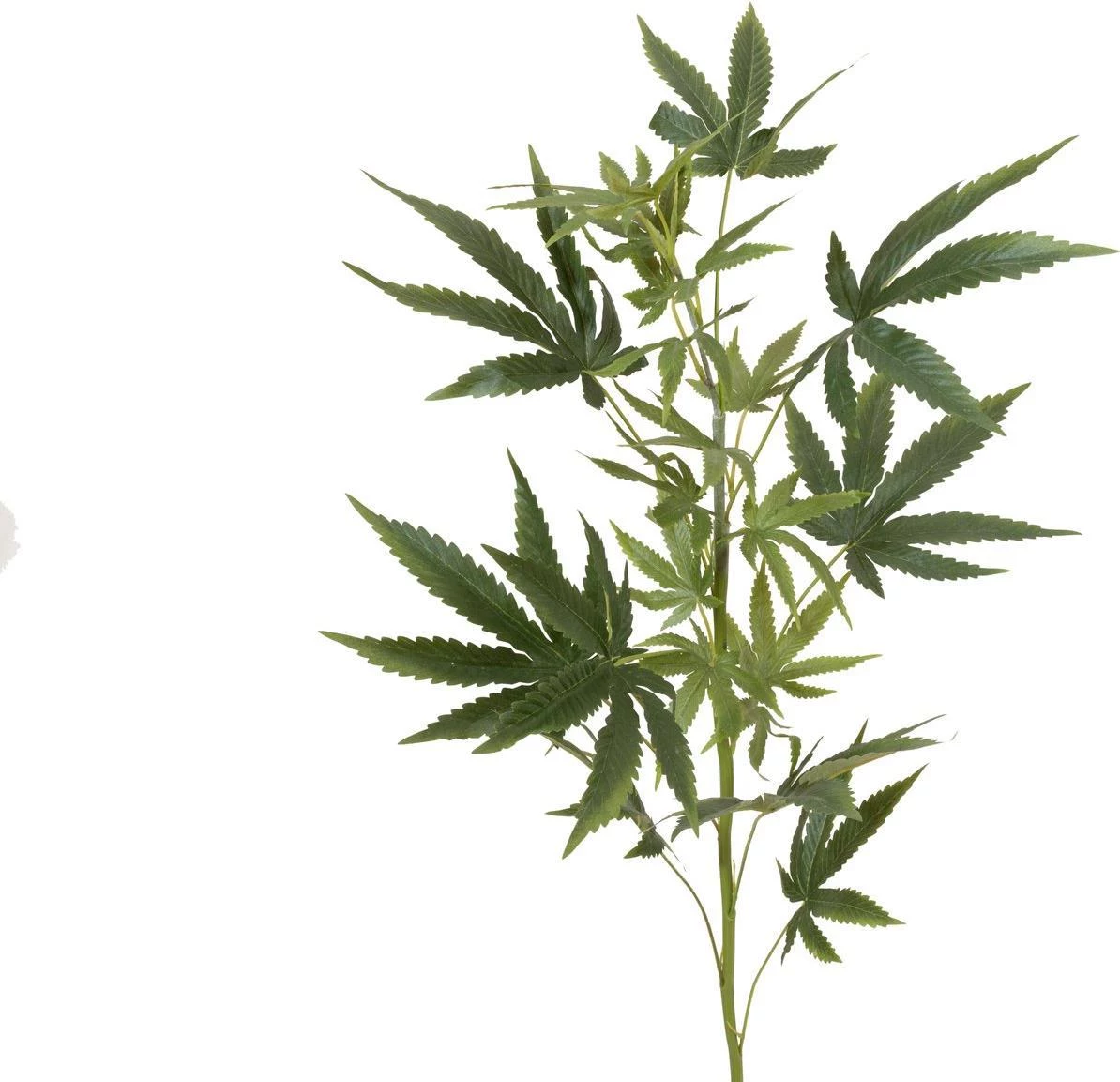 EUROPALMS mākslīgais kaņepju zars, 90cm, zaļš