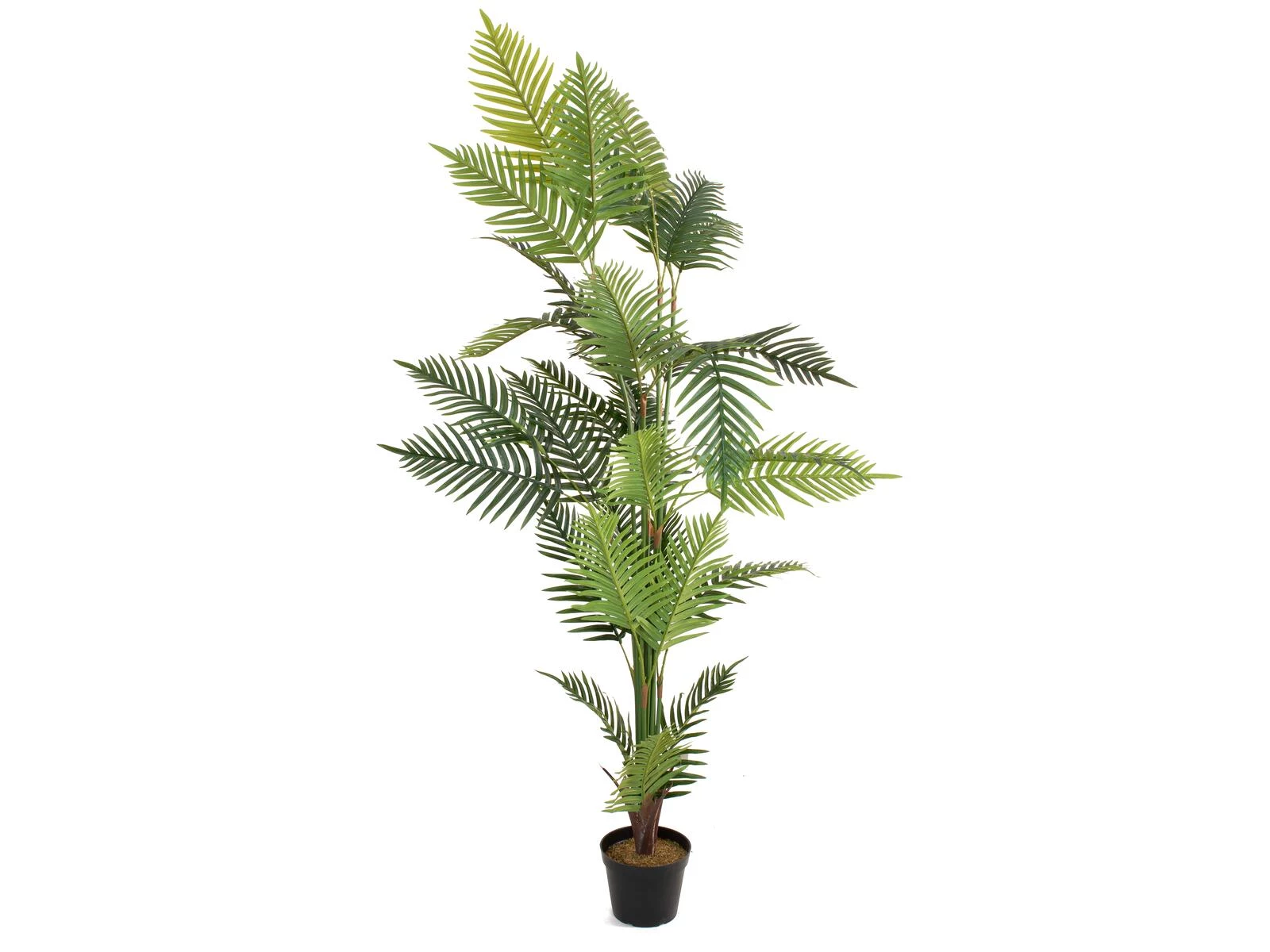 EUROPALMS Areca Palm mākslīgais augs 180