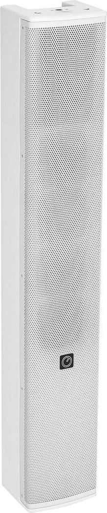 INTUSONIC 4VM100T 2-ceļu pilna diapazona kolonnu