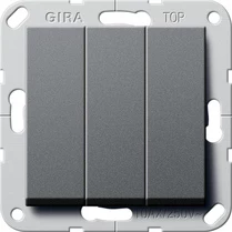 GIRA 283228 System 55 pārslēgs ar
