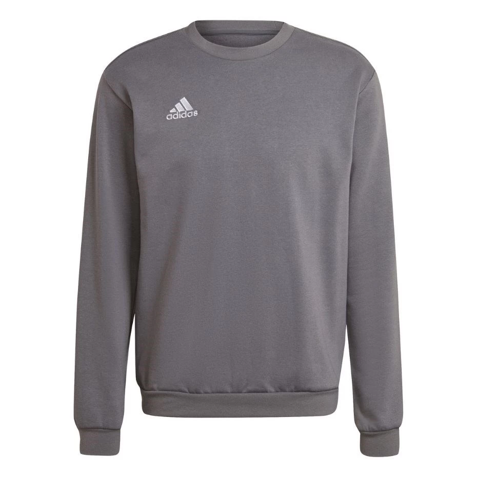 Adidas Entrada 22 vīriešu treniņu sporta
