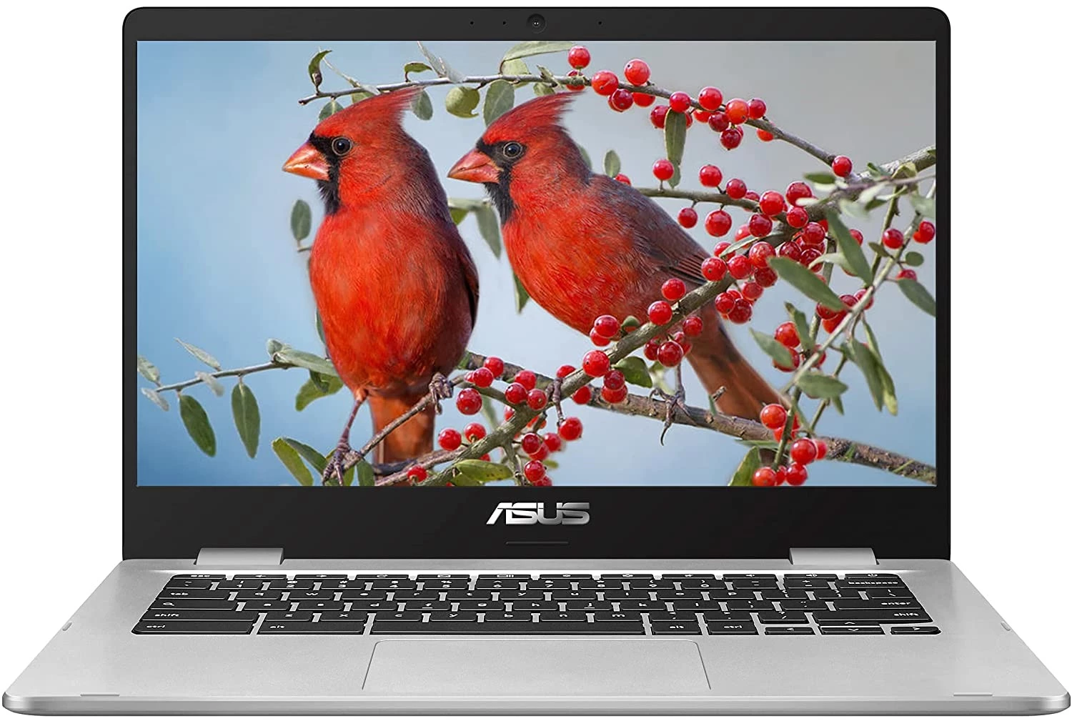 ASUS Chromebook C424MA-BV0305 Intel Celeron 4GB