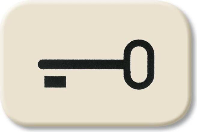 BUSCH-JAEGER Taster Symbol Key Wippe 2520