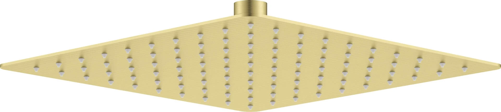 DEANTE Steel Shower Head - 250x250