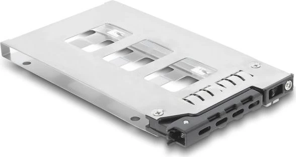 Delock Mobile Rack ievietojamais modulis 1