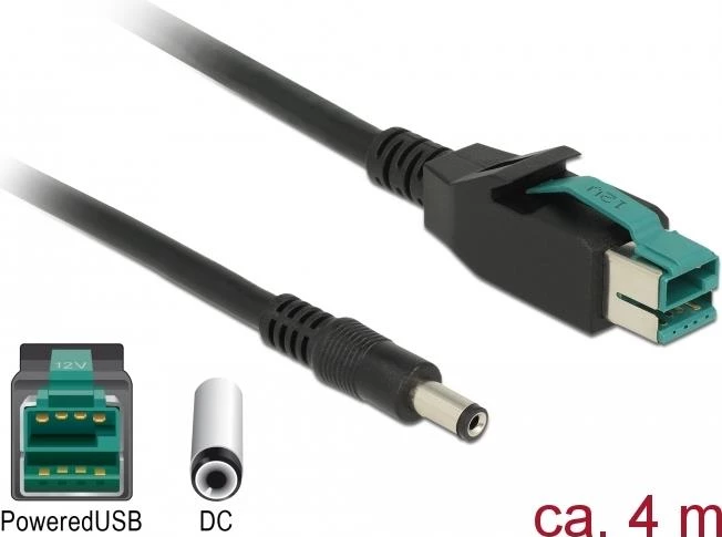Delock Powered USB kabelis - USB