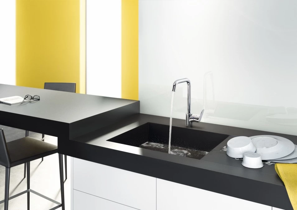 Hansgrohe Focus M41 vienas sviras virtuves