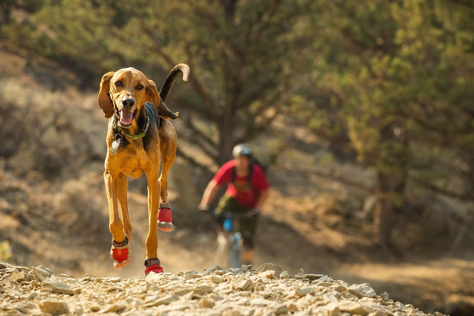 Ruffwear Grip Trex Suņu Zābaki -
