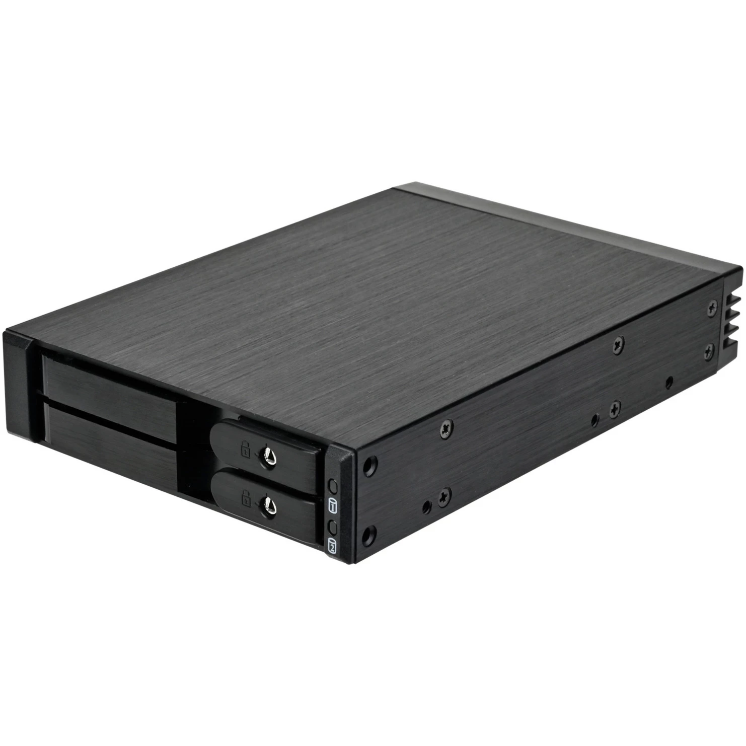 SilverStone SST-FS202B-V2 2-Bay 3,5 inch