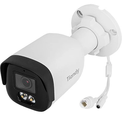 TIANDY TC-C34WP 4MP IR Kupola IP